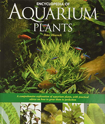 Algopix Similar Product 2 - Encyclopedia of Aquarium Plants