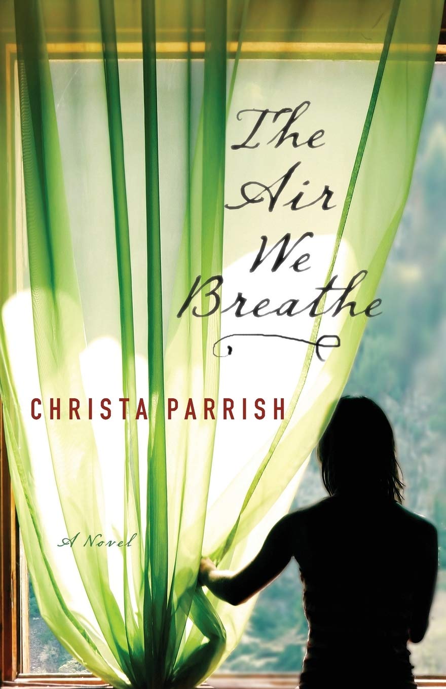 Algopix Similar Product 10 - The Air We Breathe