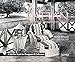 Algopix Similar Product 4 - Rattan Furniture Schiffer Military