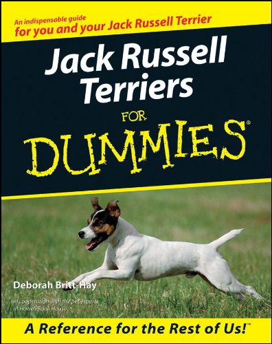 Algopix Similar Product 4 - Jack Russell Terriers For Dummies