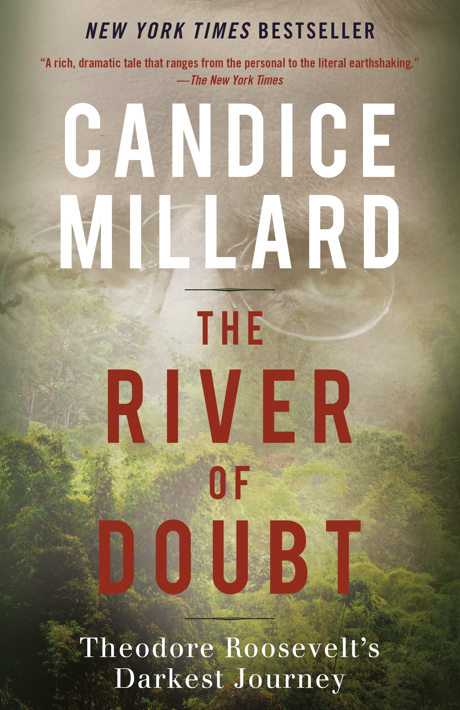 Algopix Similar Product 6 - The River of Doubt Theodore