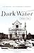 Algopix Similar Product 20 - Dark Water Art Disaster and