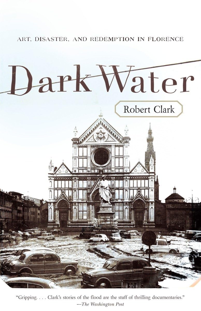 Algopix Similar Product 18 - Dark Water Art Disaster and