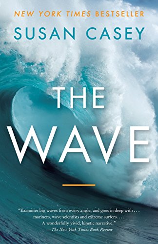 Algopix Similar Product 7 - The Wave In Pursuit of the Rogues