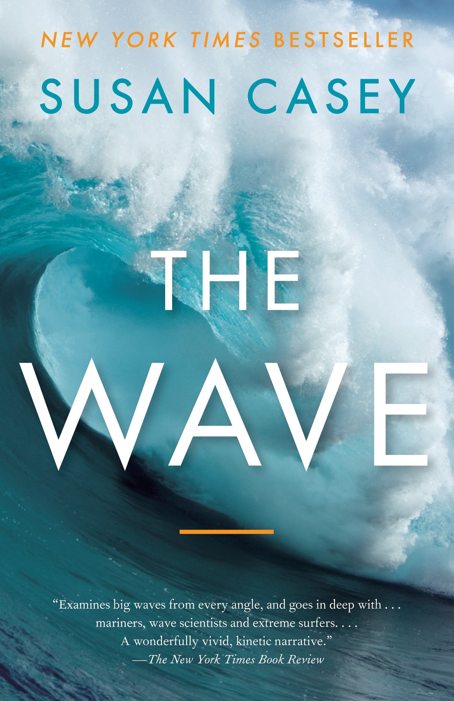 Algopix Similar Product 14 - The Wave In Pursuit of the Rogues
