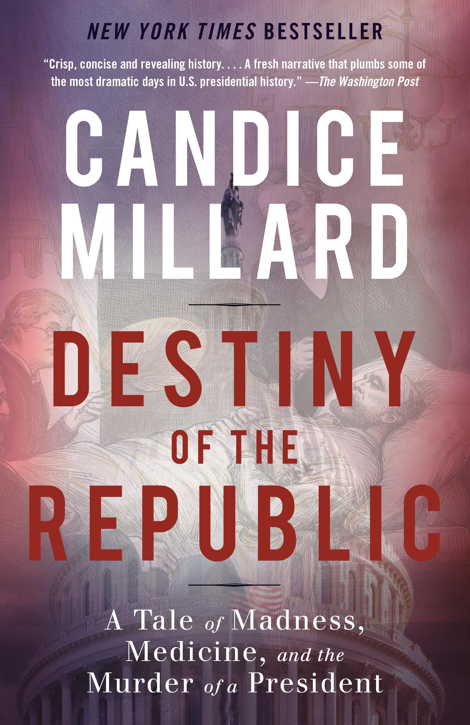 Algopix Similar Product 8 - Destiny of the Republic A Tale of
