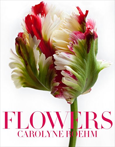 Algopix Similar Product 10 - Flowers