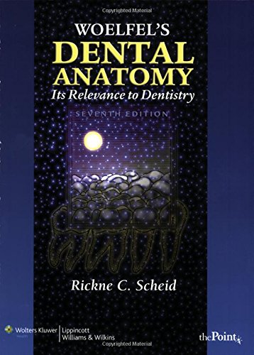 Algopix Similar Product 1 - Woelfels Dental Anatomy Its Relevance