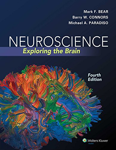 Algopix Similar Product 19 - Neuroscience Exploring the Brain