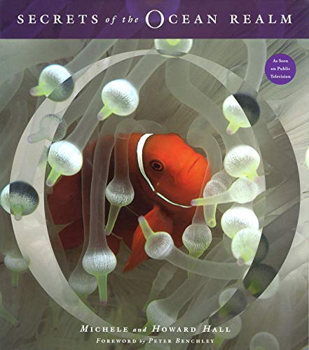 Algopix Similar Product 3 - Secrets of the Ocean Realm