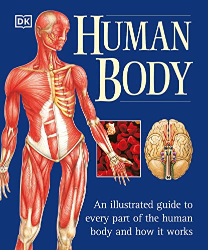 Algopix Similar Product 17 - Human Body An Illustrated Guide to