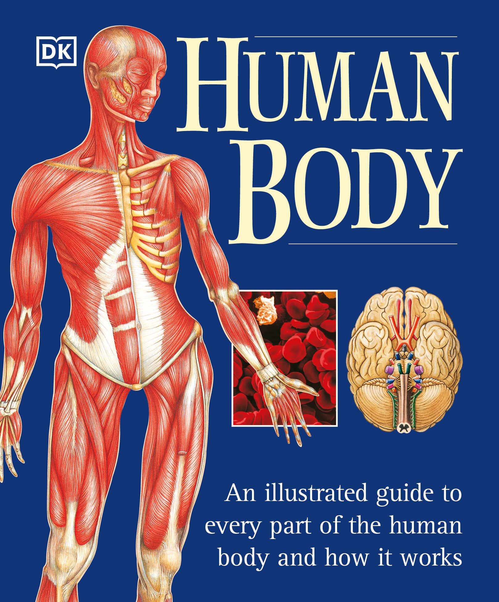 Algopix Similar Product 3 - Human Body An Illustrated Guide to