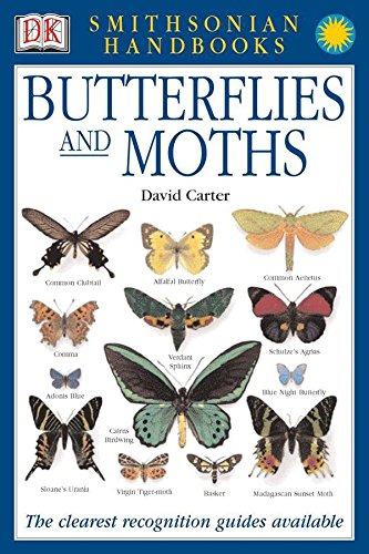 Algopix Similar Product 19 - Smithsonian Handbooks Butterflies 
