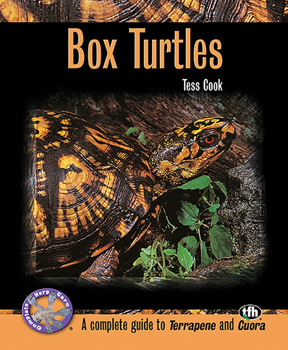 Algopix Similar Product 6 - Box Turtles (Complete Herp Care)