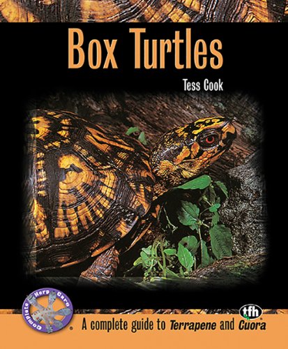Algopix Similar Product 20 - Box Turtles (Complete Herp Care)