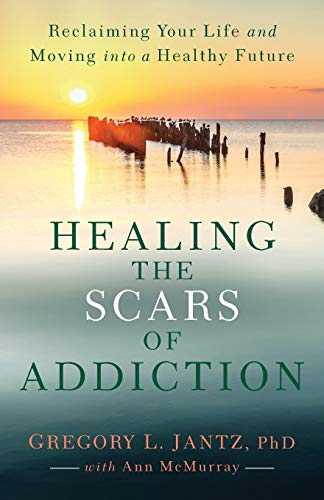 Algopix Similar Product 2 - Healing the Scars of Addiction