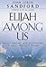 Algopix Similar Product 11 - Elijah Among Us Understanding and