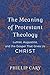 Algopix Similar Product 7 - The Meaning of Protestant Theology