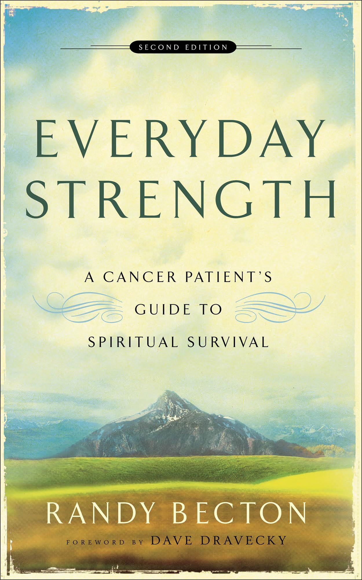 Algopix Similar Product 4 - Everyday Strength A Cancer Patients