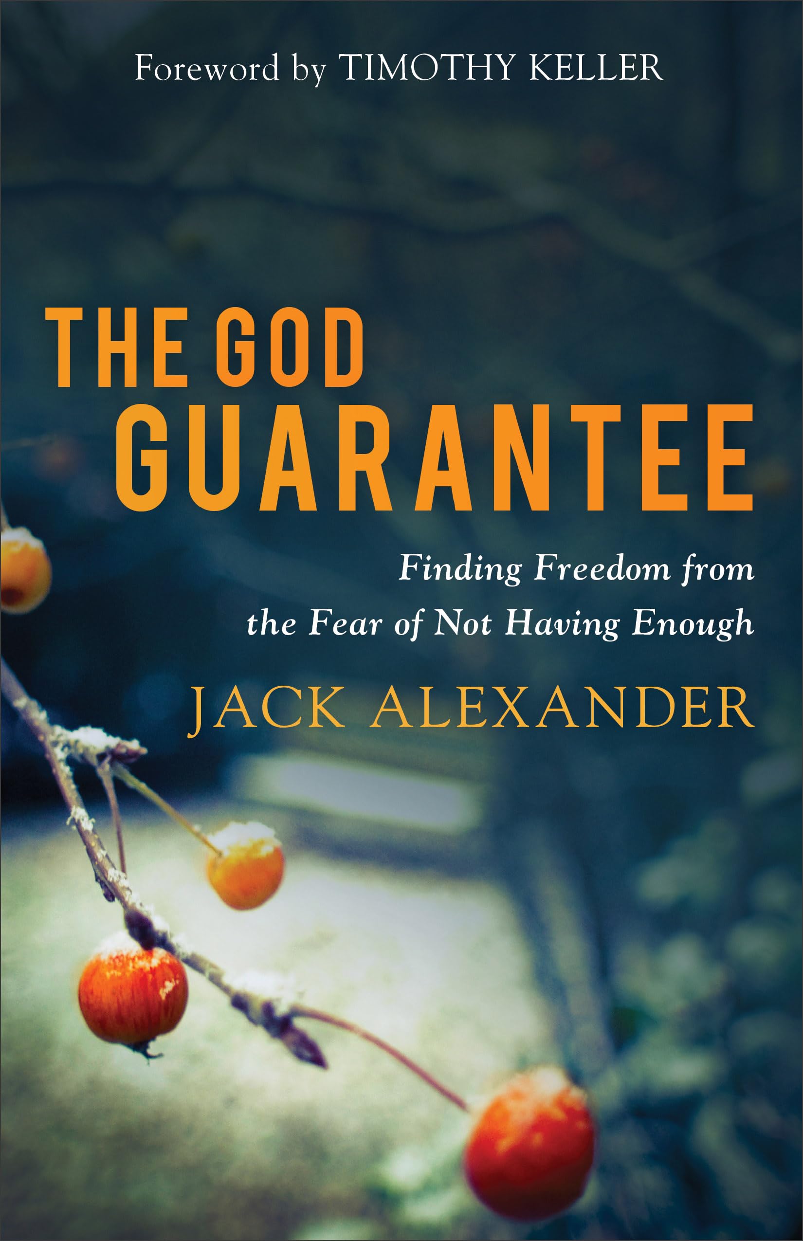 Algopix Similar Product 1 - God Guarantee Finding Freedom from the