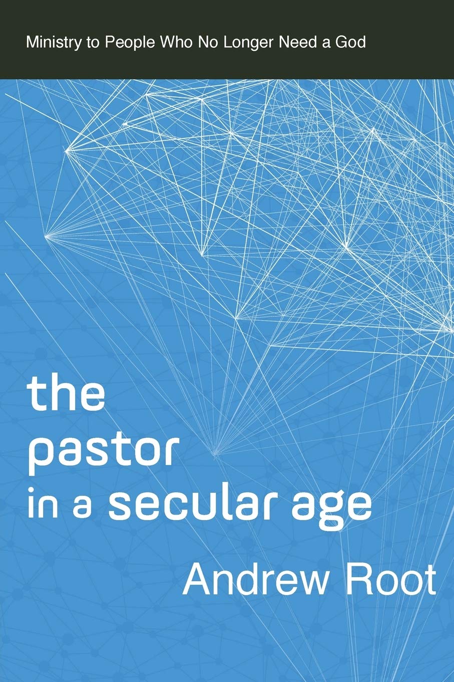 Algopix Similar Product 6 - The Pastor in a Secular Age Ministry