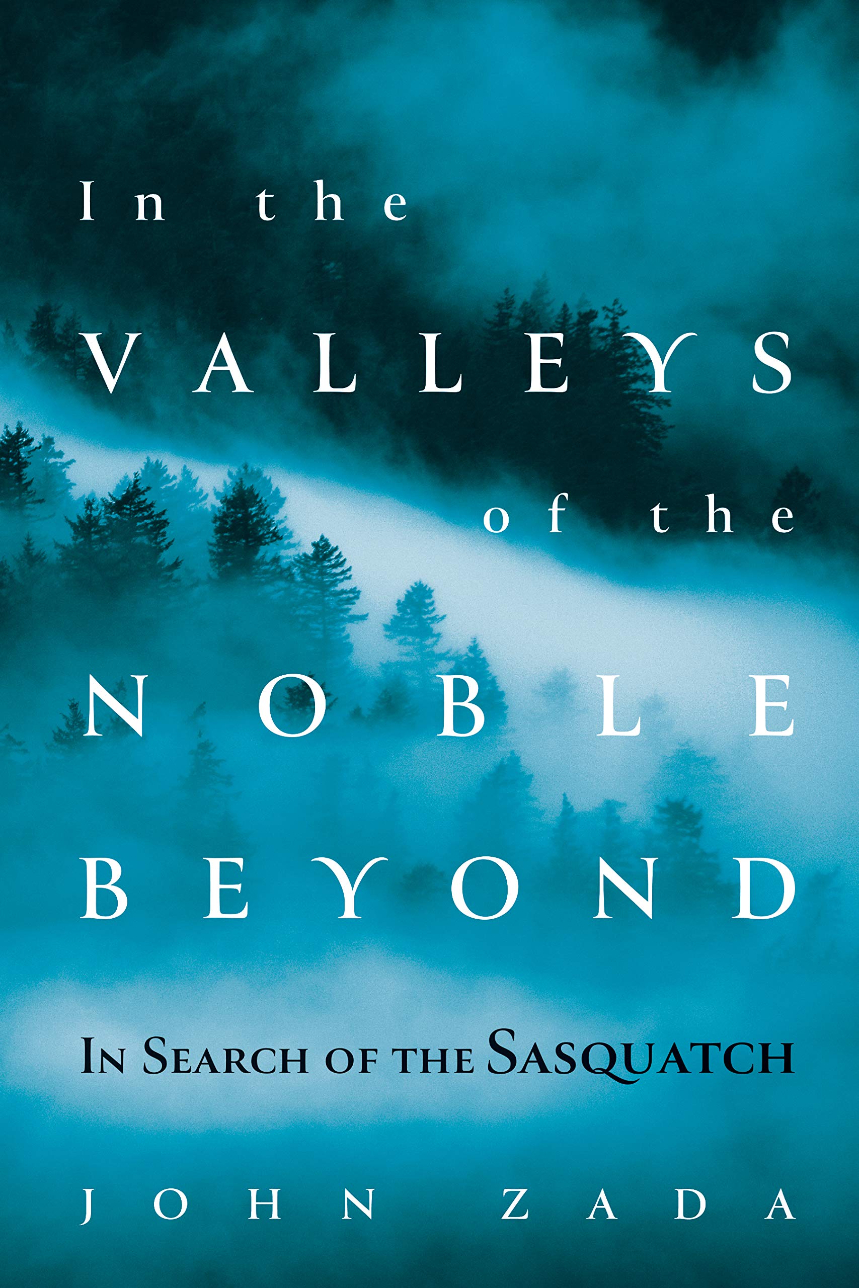 Algopix Similar Product 4 - In the Valleys of the Noble Beyond In