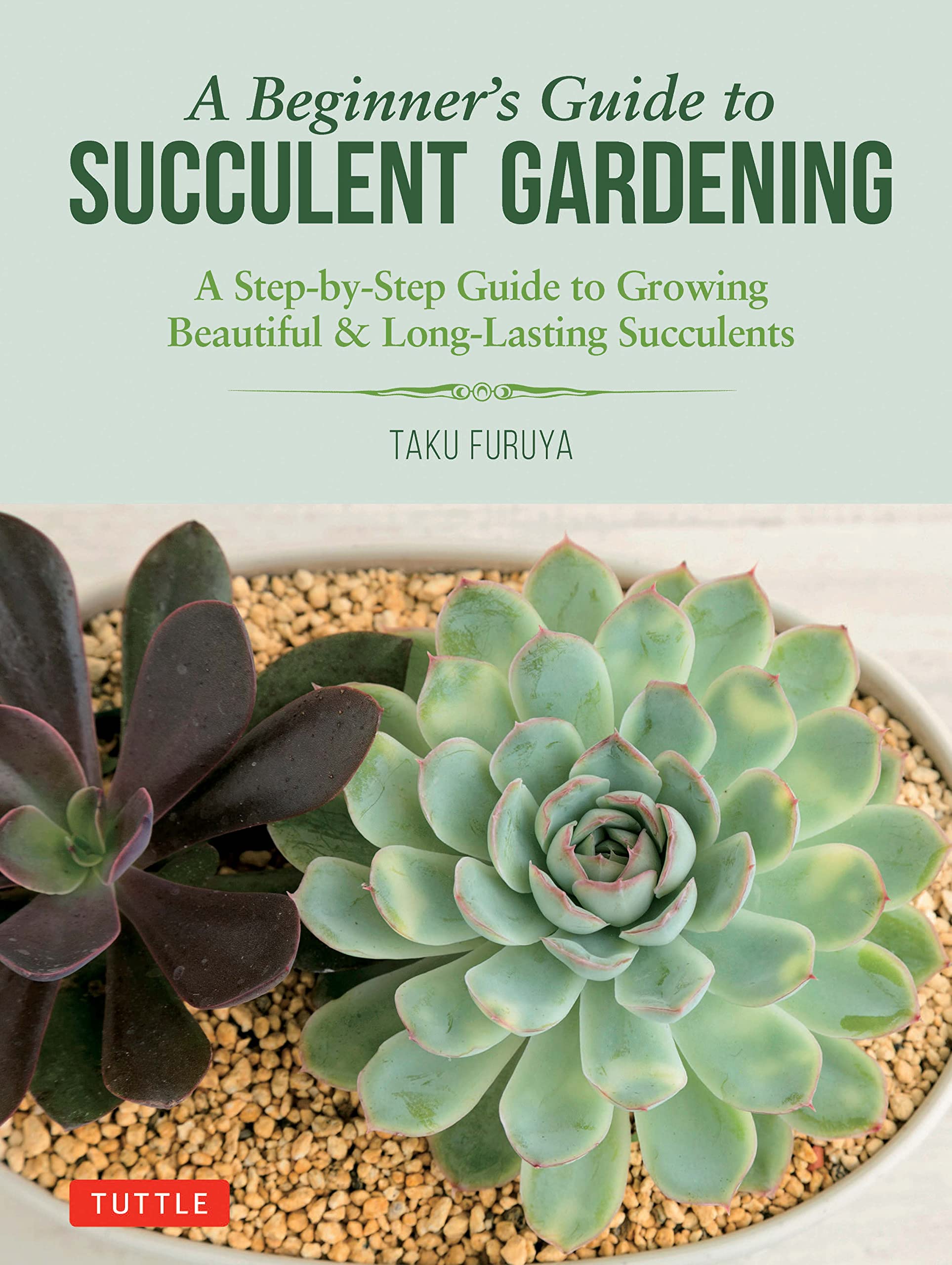 Algopix Similar Product 14 - A Beginners Guide to Succulent