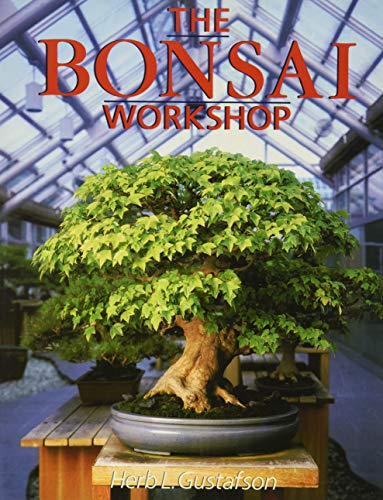 Algopix Similar Product 12 - The Bonsai Workshop (Our Garden Variety)