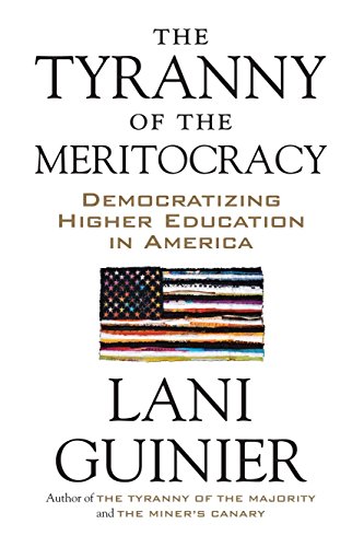 Algopix Similar Product 14 - The Tyranny of the Meritocracy