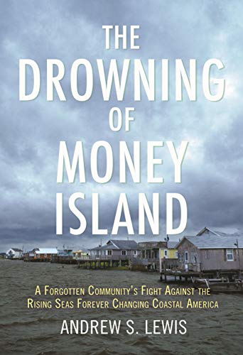 Algopix Similar Product 4 - The Drowning of Money Island A