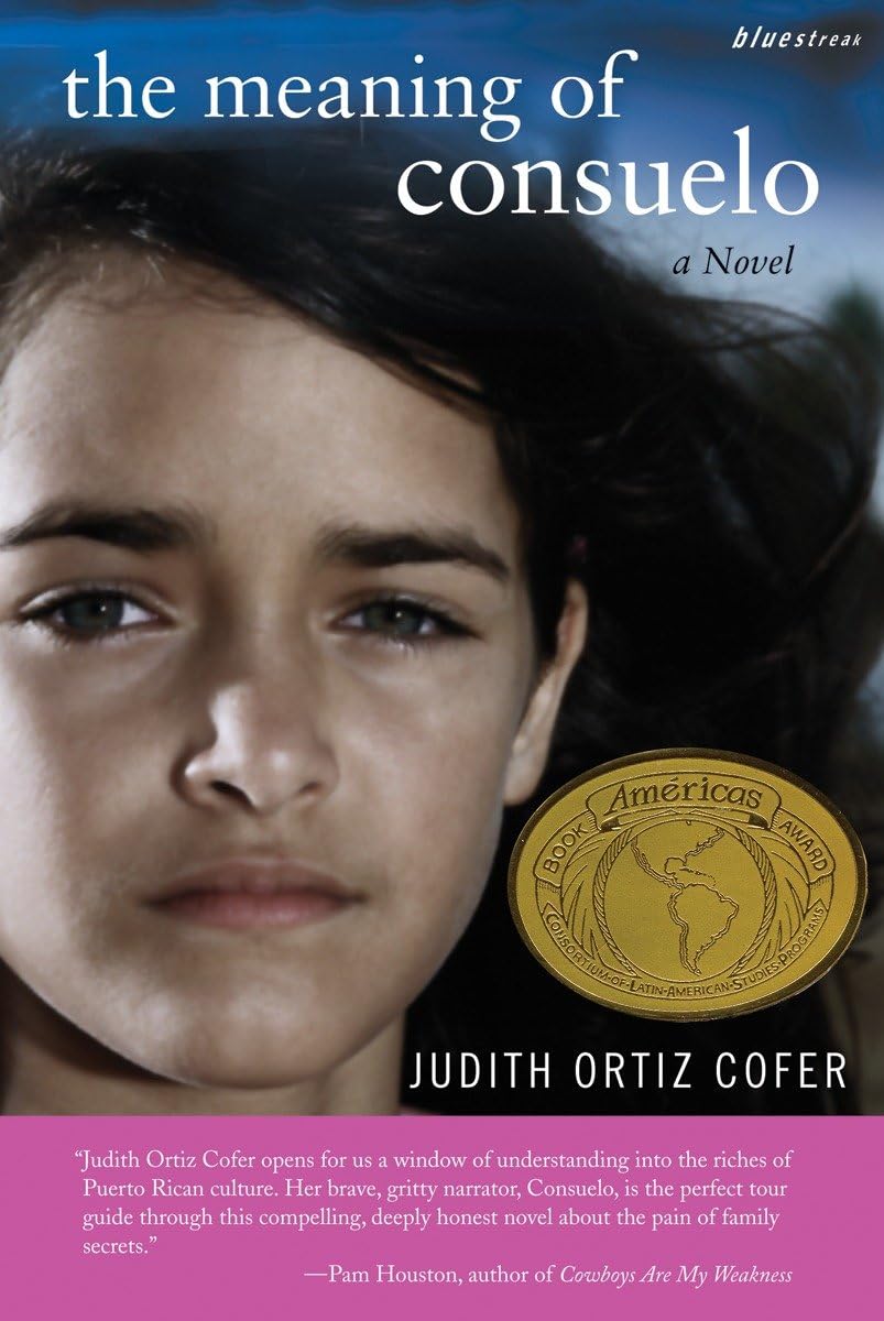 Algopix Similar Product 17 - The Meaning of Consuelo A Novel