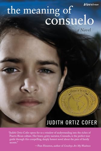 Algopix Similar Product 16 - The Meaning of Consuelo A Novel