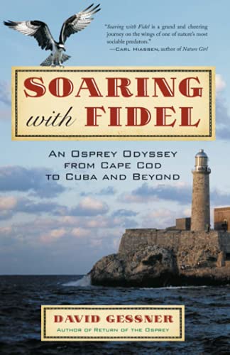 Algopix Similar Product 10 - Soaring with Fidel An Osprey Odyssey