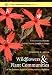 Algopix Similar Product 6 - Wildflowers and Plant Communities of