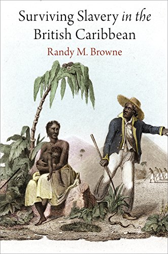 Algopix Similar Product 18 - Surviving Slavery in the British