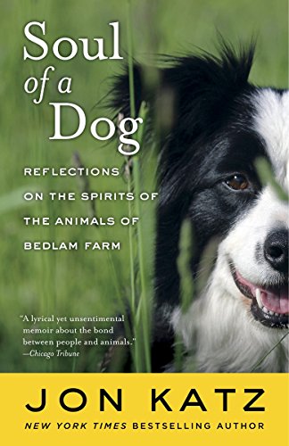 Algopix Similar Product 9 - Soul of a Dog Reflections on the