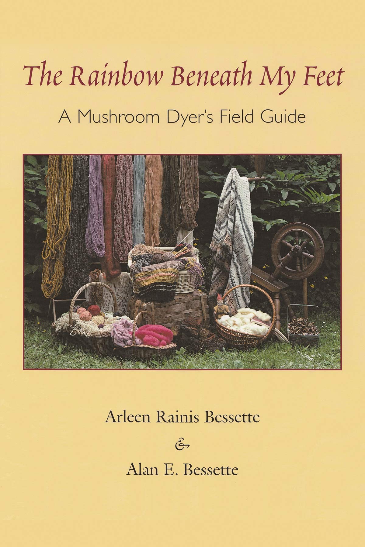 Algopix Similar Product 6 - The Rainbow Beneath My Feet A Mushroom