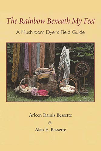 Algopix Similar Product 11 - The Rainbow Beneath My Feet A Mushroom