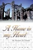 Algopix Similar Product 5 - Flame in My Heart: St. Aidan for Today