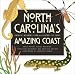 Algopix Similar Product 4 - North Carolinas Amazing Coast Natural