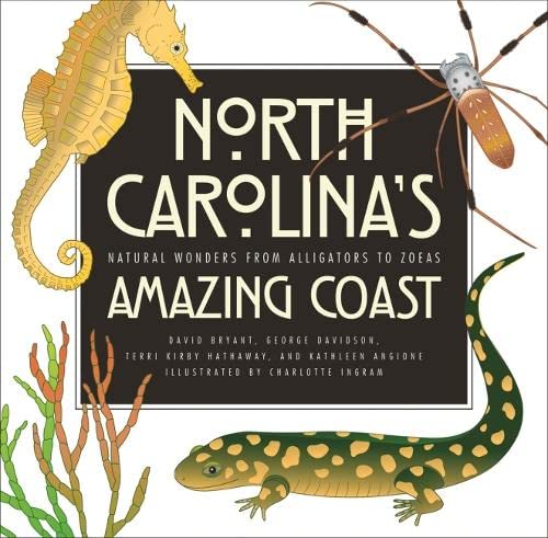 Algopix Similar Product 17 - North Carolinas Amazing Coast Natural