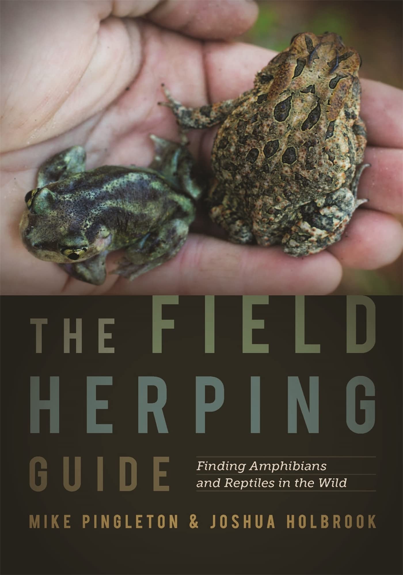 Algopix Similar Product 11 - The Field Herping Guide Finding