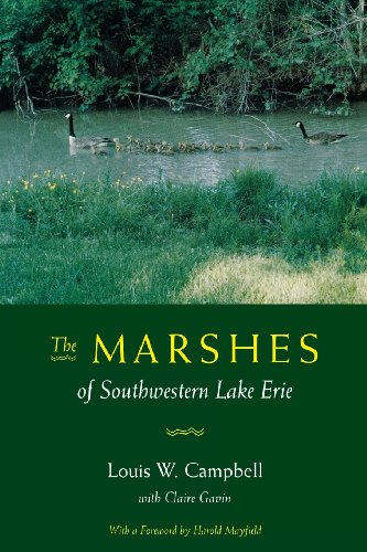 Algopix Similar Product 12 - Marshes Of Southwestern Lake Erie