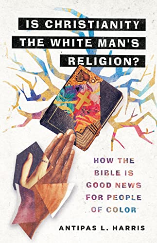 Algopix Similar Product 1 - Is Christianity the White Mans