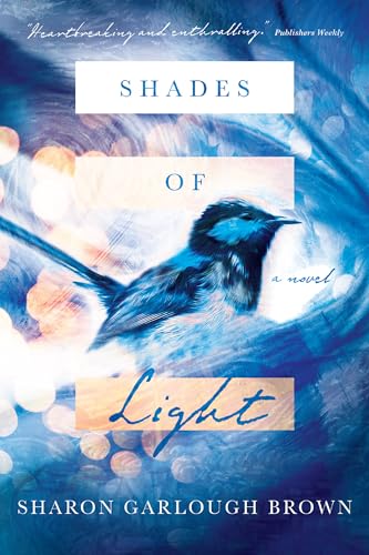Algopix Similar Product 18 - Shades of Light: A Novel