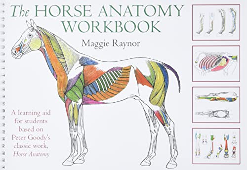 Algopix Similar Product 11 - The Horse Anatomy Workbook