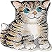 Algopix Similar Product 16 - Pocket Kitten (Pocket Pals)
