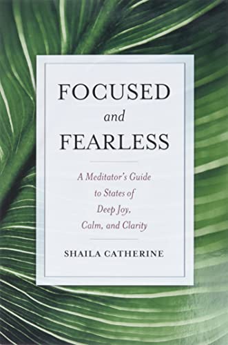 Algopix Similar Product 18 - Focused and Fearless A Meditators