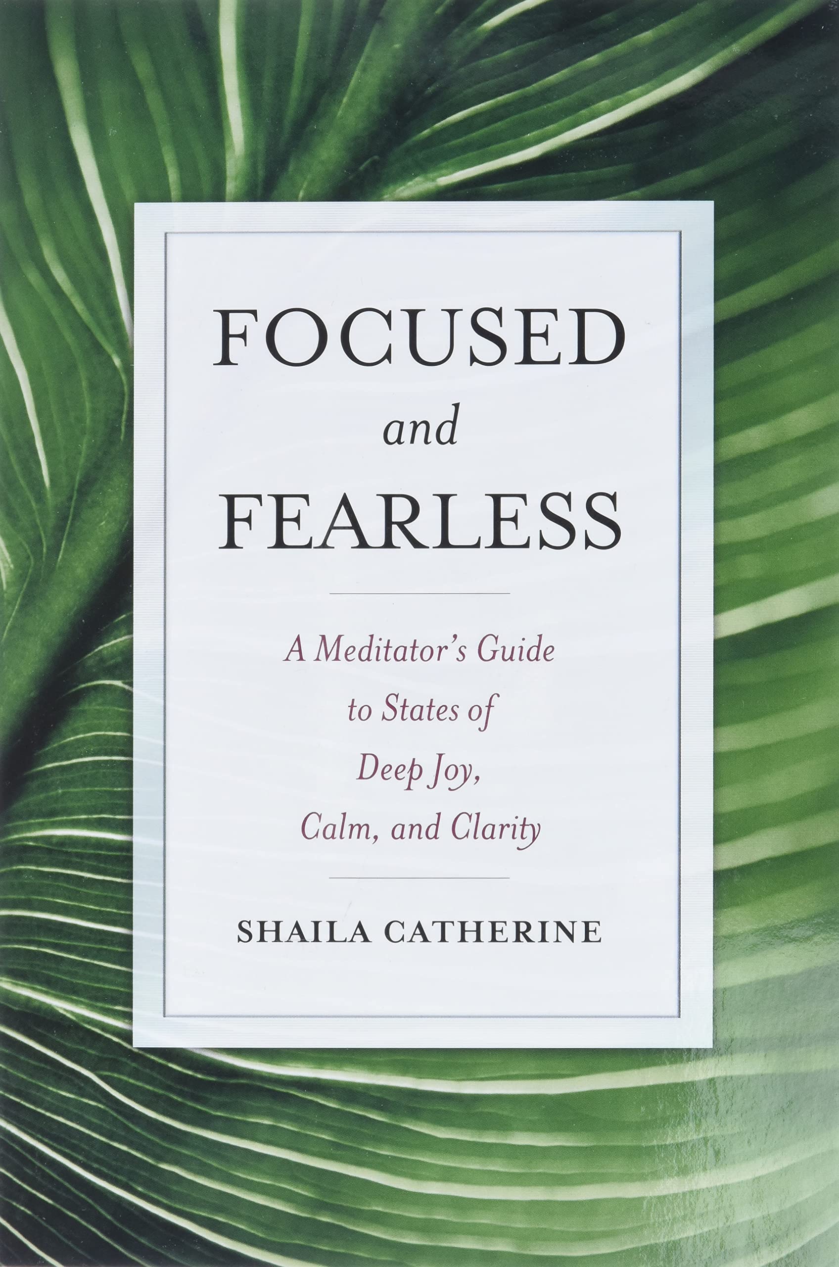 Algopix Similar Product 17 - Focused and Fearless A Meditators