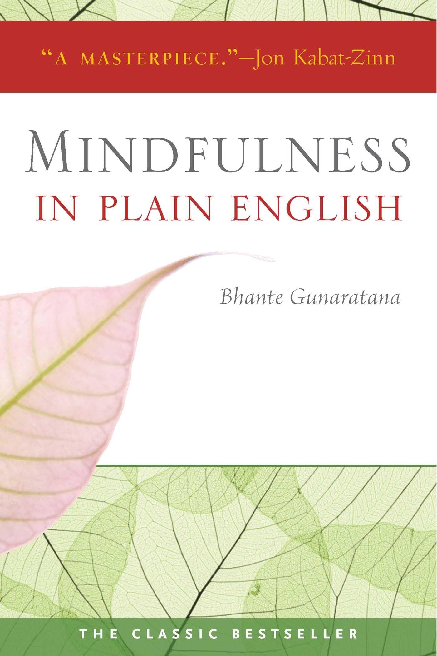 Algopix Similar Product 2 - Mindfulness in Plain English